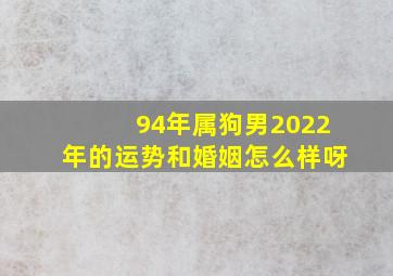 94年属狗男2022年的运势和婚姻怎么样呀