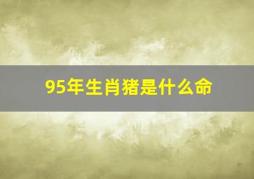 95年生肖猪是什么命