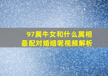 97属牛女和什么属相最配对婚姻呢视频解析