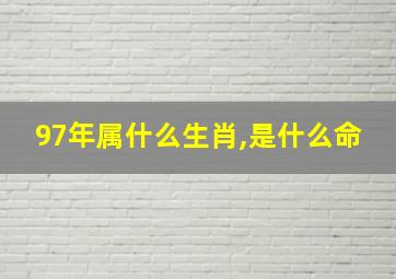 97年属什么生肖,是什么命