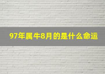 97年属牛8月的是什么命运