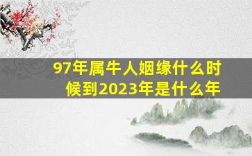 97年属牛人姻缘什么时候到2023年是什么年