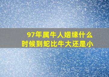 97年属牛人姻缘什么时候到蛇比牛大还是小