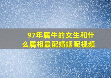 97年属牛的女生和什么属相最配婚姻呢视频