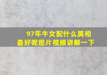 97年牛女配什么属相最好呢图片视频讲解一下