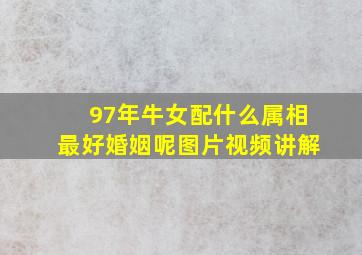 97年牛女配什么属相最好婚姻呢图片视频讲解