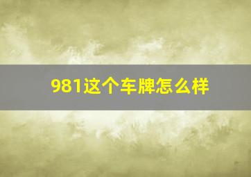 981这个车牌怎么样