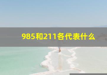 985和211各代表什么