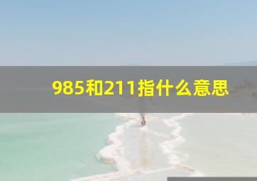 985和211指什么意思