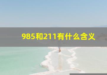 985和211有什么含义