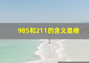 985和211的含义是啥