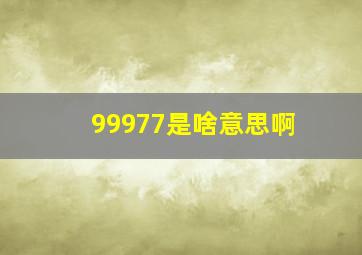 99977是啥意思啊