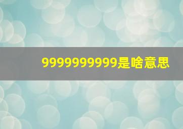 9999999999是啥意思