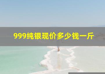 999纯银现价多少钱一斤