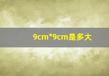 9cm*9cm是多大