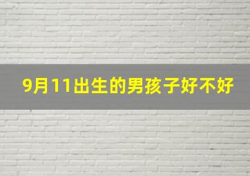 9月11出生的男孩子好不好