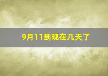 9月11到现在几天了