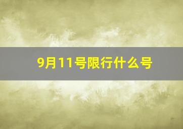 9月11号限行什么号