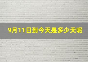 9月11日到今天是多少天呢