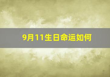 9月11生日命运如何