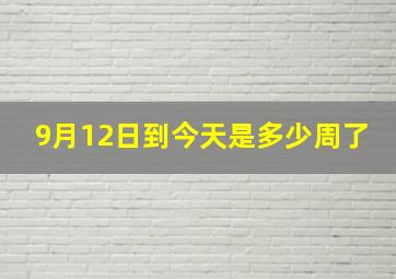 9月12日到今天是多少周了