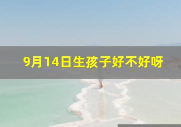 9月14日生孩子好不好呀