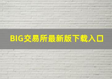 BIG交易所最新版下载入口