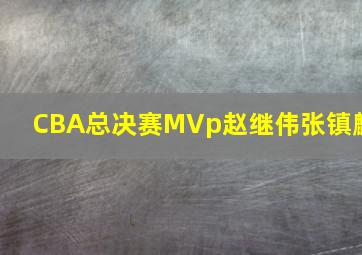 CBA总决赛MVp赵继伟张镇麟