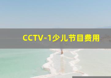 CCTV-1少儿节目费用