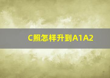 C照怎样升到A1A2