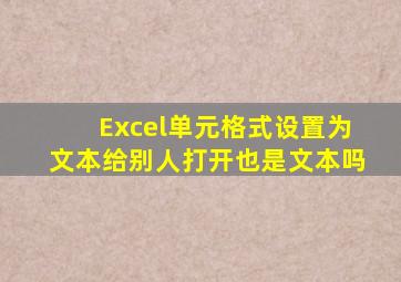 Excel单元格式设置为文本给别人打开也是文本吗