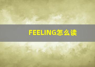 FEELING怎么读