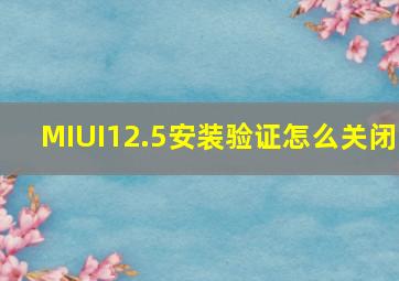 MIUI12.5安装验证怎么关闭