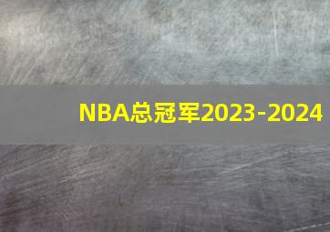 NBA总冠军2023-2024