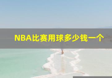 NBA比赛用球多少钱一个