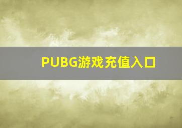 PUBG游戏充值入口