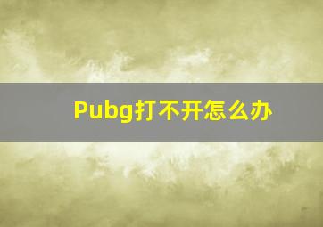 Pubg打不开怎么办