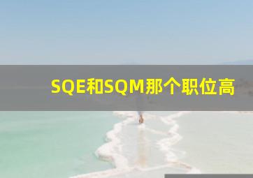 SQE和SQM那个职位高