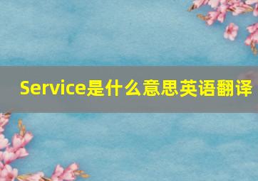 Service是什么意思英语翻译