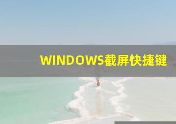 WINDOWS截屏快捷键