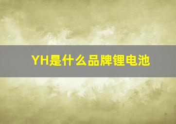 YH是什么品牌锂电池