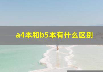 a4本和b5本有什么区别