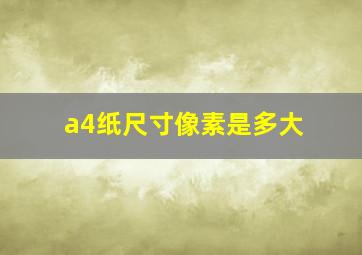 a4纸尺寸像素是多大