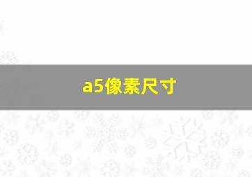 a5像素尺寸