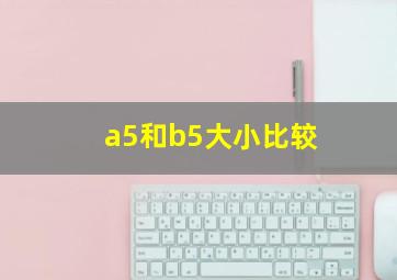 a5和b5大小比较