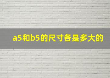 a5和b5的尺寸各是多大的