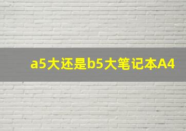 a5大还是b5大笔记本A4