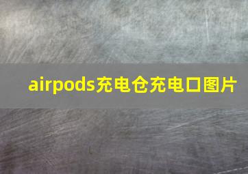 airpods充电仓充电口图片