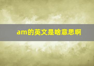 am的英文是啥意思啊