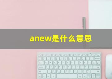 anew是什么意思